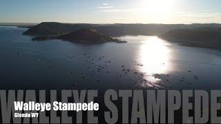 Wyoming Walleye Stampede |Drone Footage|