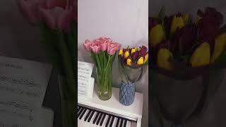 #spring #flowers #music