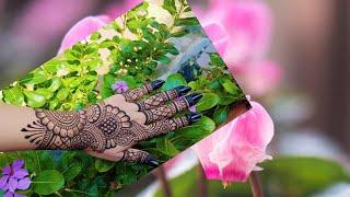 Back side mehndi designs | mehandi ka design | mehndi design simple | mehndi design | mehndi mehendi