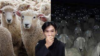 Những thứ chỉ đáng sợ VỀ ĐÊM | khanhtrungsi