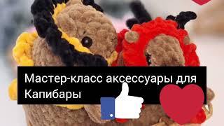 МАСТЕР-КЛАСС аксессуары для Капибары из плюшевой пряжи крючком #творчество #детииродители #дети