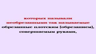 Видеобиблия. Послание Ефесянам. Глава 2