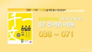 [DAY 2/14] 천일문 핵심 1.0 #038-071 단기완성