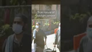 true nature of tablighi jamaat/tablighi jamaat best status video/by mufti tariq masood/best bayan️