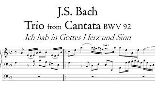 Bach - Trio from Cantata BWV 92 (organ transcription) - Metzler organ, Poblet, Hauptwerk