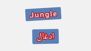 '' Jungle   ..    ترجمة كلمة انجليزية - ''  ادغال