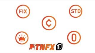 شرح انواع الحسابات في شركة TNFX بلتفصيل 2023