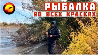 РЫБАЛКА ВО ВСЕХ КРАСКАХ / Атмосфера Осени на Реке