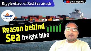 Why is ocean freight going up? why are ocean freight rates increasing | Ocean freight trend in 2024