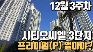 12월3주차) 시티오씨엘3단지 매수매도관심있는분들은 연락!