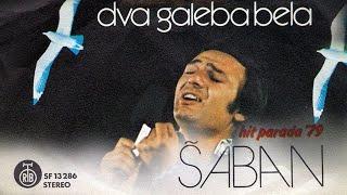 Saban Saulic - Dva galeba bela - (Audio 1979)