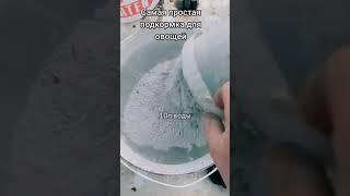 Правильная зольная подкормка #огород#советы#дача#вредители