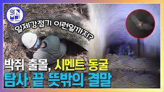 부여 부소산의 시멘트 굴 미스터리