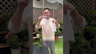 Easy rose cutting method with high success rate." #ALotusGardan #planttip #plantcare