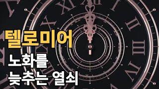 텔로미어, 세포노화를 늦추는 열쇠. 스트레스와 수명 지중해식 식단의 진실