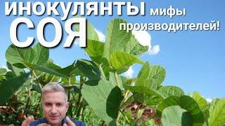 Соя "ИНОКУЛЯНТЫ- просто о сложном