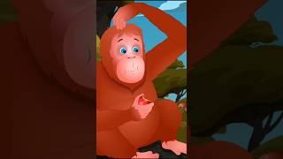 The Orangutan Song - Animal Songs #Shorts