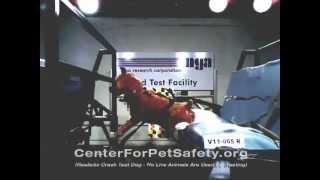 Center for Pet Safety Pet Auto Restraint Crash Test