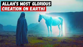 The Most  MAGNIFICENT Creature of Allah on Earth – You Won’t BELIVE What It Is