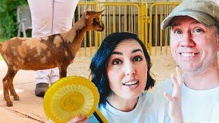 Almost in tears... but then this happened!! (goat show adventures)
