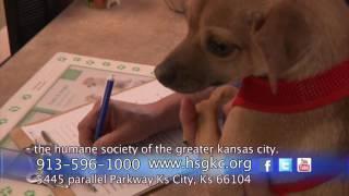 The Humane Society of Greater Kansas City - Univision Kansas City