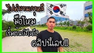 ไปทำงานเกาหลีเริ่มต้นยังไง? มือใหม่ฟังทางนี้ เรียนด้วยตัวเองได้มั้ย?