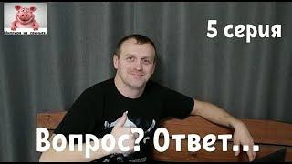 Подсчёт вложенных средств за 2,5 месяца. Миллион на свиньях.