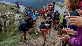 ENTRENAMIENTO TOTAL: Zegama Aizkorri 2017/05/28 & 5k Ciutat de Xàtiva 2017/07/15