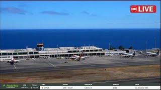 Madeira Airport Live Action Special ️ 22/08/2024