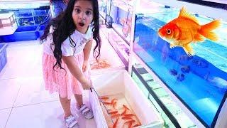 Catch Real Fish with Pinkfong Fishing Toys