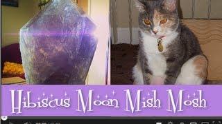 Hibiscus Moon Mish Mosh - Rocks, Crystals + Kitties!