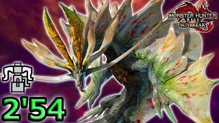 Amatsu Heavy Bowgun Solo 2:54 | MHR Sunbreak