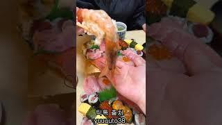 일본 전통 "스시" 진짜 크네요