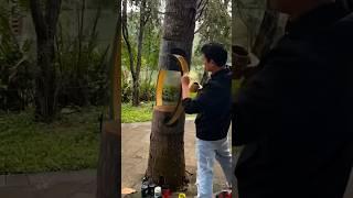 Looks Fake, But It’s Real: Watch This Tree Come Alive #3dart #paintingtutorial #painting