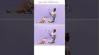 #[all spot find difference] only genius find difference between find difference #finefind