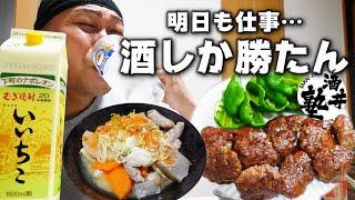 【飲酒Vlog】サラリーマンの平日リアル晩酌！手抜きなしの居酒屋料理で今宵も泥酔