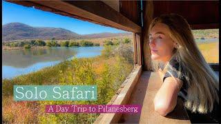 Self-Drive Safari in South Africa | A Day Tour to Pilanesberg