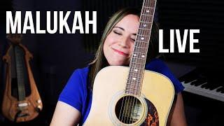 Malukah's November Concert