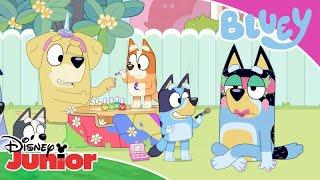 Trouble at the Salon  | Bluey  | Disney Junior Arabia