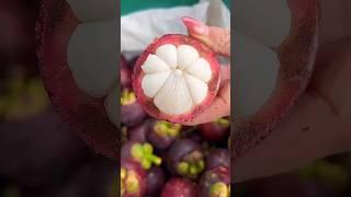 fresh,fresh girls, fruit,farming#shorts#ep116