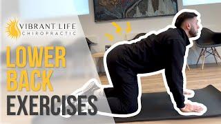 Ease LOWER BACK PAIN with 3 Simple Exercises | Dr. Adam Sisti, DC