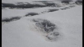 Indian Army tweets it found 'Yeti' footprints, gets trolled