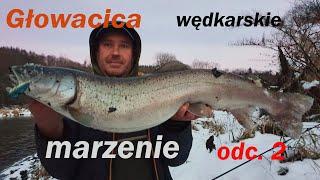 Głowacica, wędkarskie marzenie. cz.2