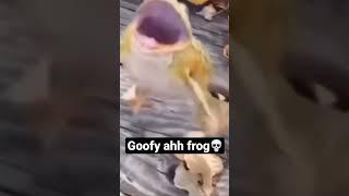 #meme #funny #fyp #random #shorts #subscribe #youtube #frog #frogs