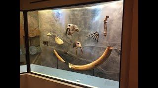 12,000 Years in Maine-Maine State Museum-Virtual Scavenger Hunt #4 of 5