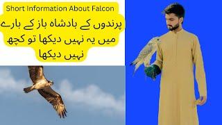 Falcon Hunt part 2 .| baaz ka shikar | arabs kesy shikar krty hain|