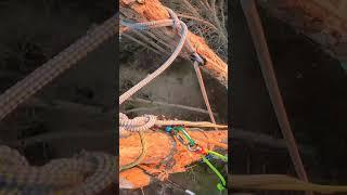 WHOLE ROPE TOP RIG (100ft) #tree #climbing #diy