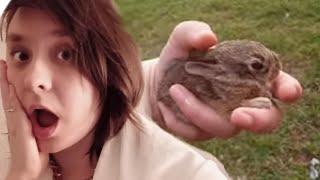 Returning a baby bunny to his nest! SO CUTE (in ASMR whispers)