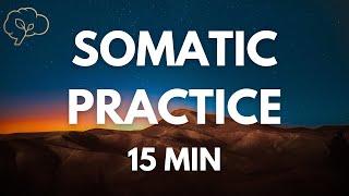 Somatic Exercises for Nervous System Regulation | 15 Min Guided