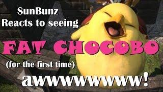 SunBunz Reacts to Seeing FAT CHOCOBO (and Sabotender)